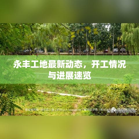 永豐工地最新動(dòng)態(tài)，開工情況與進(jìn)展速覽