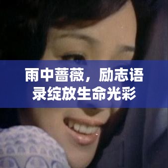 雨中薔薇,勵志語錄綻放生命光彩