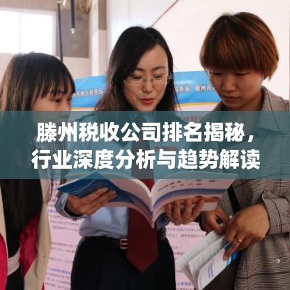滕州稅收公司排名揭秘,行業(yè)深度分析與趨勢(shì)解讀