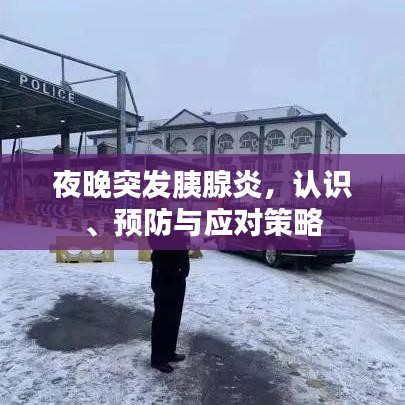 夜晚突發(fā)胰腺炎,認識、預(yù)防與應(yīng)對策略