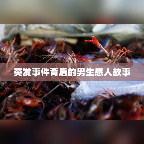 突發(fā)事件背后的男生感人故事