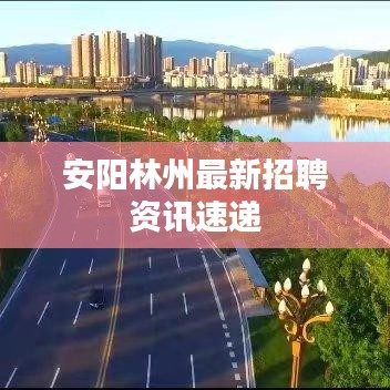 安陽林州最新招聘資訊速遞