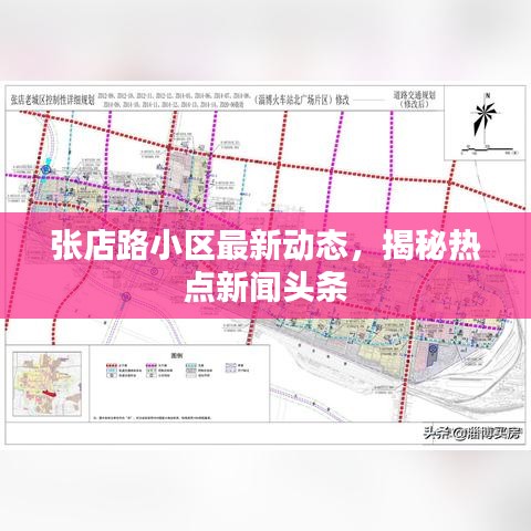 張店路小區最新動態,揭秘熱點新聞頭條