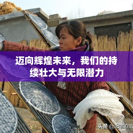 邁向輝煌未來,我們的持續壯大與無限潛力
