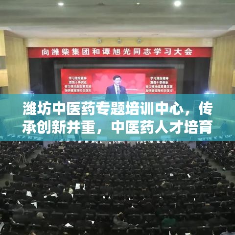 濰坊中醫(yī)藥專題培訓(xùn)中心,傳承創(chuàng)新并重,中醫(yī)藥人才培育新高地