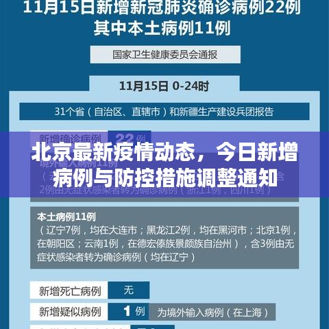 北京最新疫情動態(tài),今日新增病例與防控措施調(diào)整通知