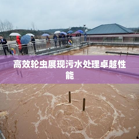 高效輪蟲(chóng)展現(xiàn)污水處理卓越性能