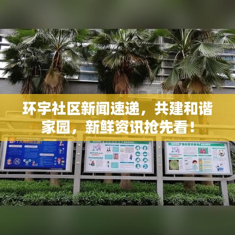 環宇社區新聞速遞,共建和諧家園,新鮮資訊搶先看!