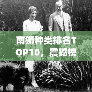 南獅種類排名TOP10,震撼榜單,不容錯過!