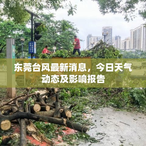 東莞臺(tái)風(fēng)最新消息,今日天氣動(dòng)態(tài)及影響報(bào)告