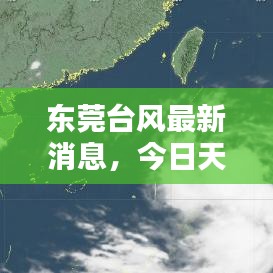 東莞臺風(fēng)最新消息,今日天氣動態(tài)及影響報告
