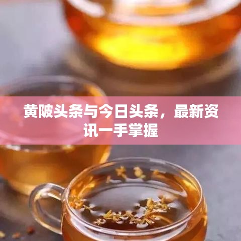 黃陂頭條與今日頭條，最新資訊一手掌握