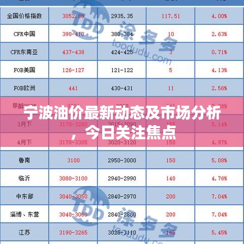 寧波油價最新動態及市場分析,今日關注焦點