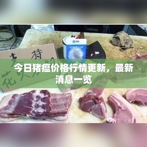今日豬瘟價格行情更新，最新消息一覽