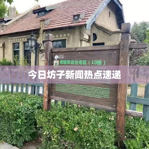 今日坊子新聞熱點速遞