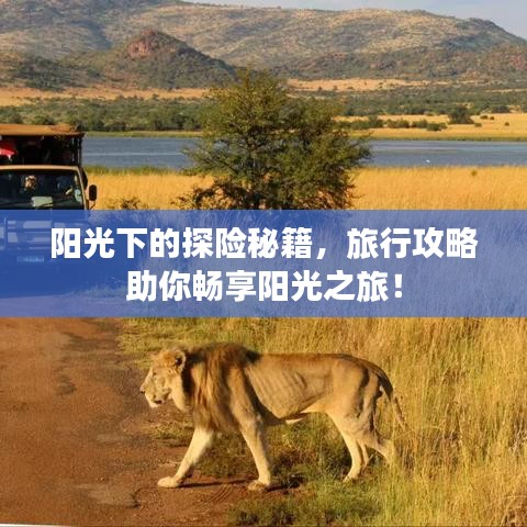 陽光下的探險秘籍,旅行攻略助你暢享陽光之旅!