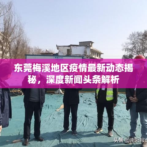 東莞梅溪地區疫情最新動態揭秘,深度新聞頭條解析