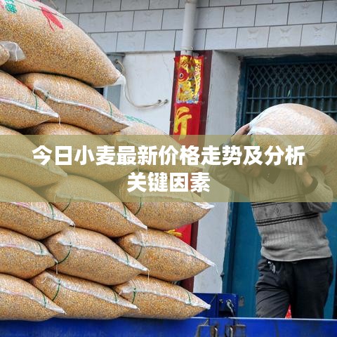 骨瘦如柴 第2頁