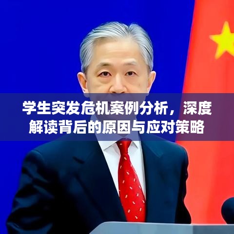 學生突發危機案例分析，深度解讀背后的原因與應對策略