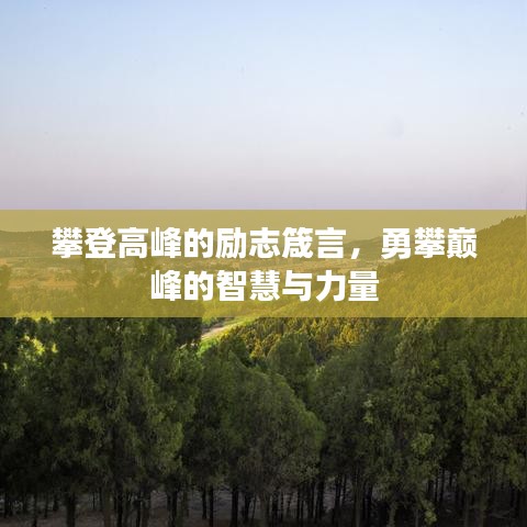 攀登高峰的勵志箴言,勇攀巔峰的智慧與力量
