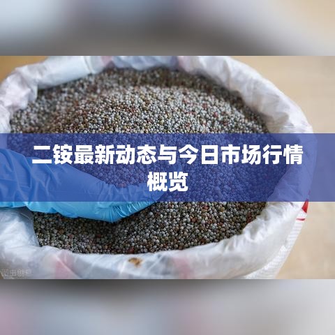 二銨最新動態與今日市場行情概覽