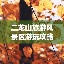 二龍山旅游風景區(qū)游玩攻略大全