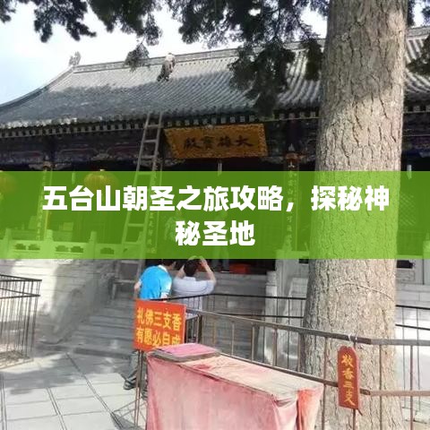五臺山朝圣之旅攻略,探秘神秘圣地