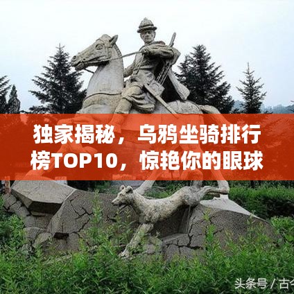 獨家揭秘,烏鴉坐騎排行榜TOP10,驚艷你的眼球!