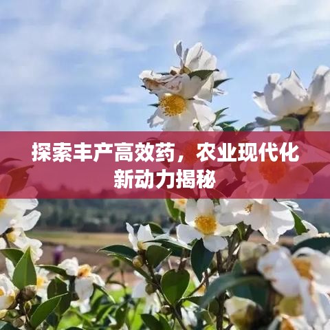 探索豐產高效藥,農業現代化新動力揭秘