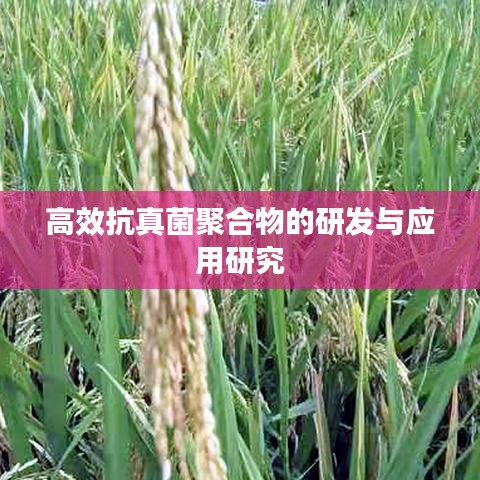 高效抗真菌聚合物的研發與應用研究