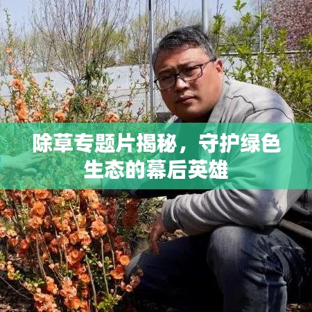 除草專題片揭秘,守護綠色生態(tài)的幕后英雄
