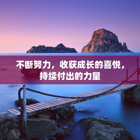 不斷努力,收獲成長的喜悅,持續付出的力量