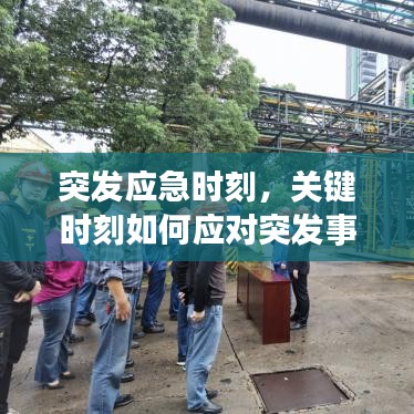 突發應急時刻,關鍵時刻如何應對突發事件