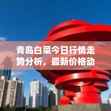 青島白菜今日行情走勢分析，最新價格動態解讀