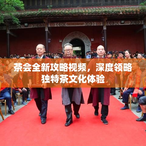 茶會(huì)全新攻略視頻,深度領(lǐng)略獨(dú)特茶文化體驗(yàn)