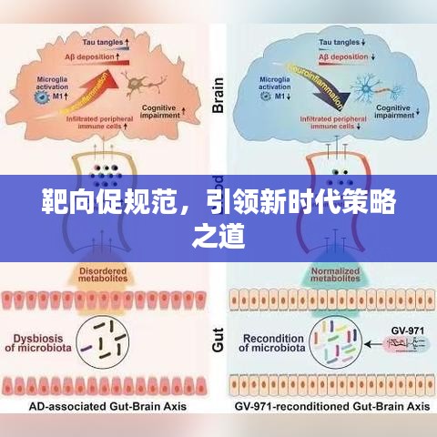 靶向促規(guī)范,引領(lǐng)新時代策略之道