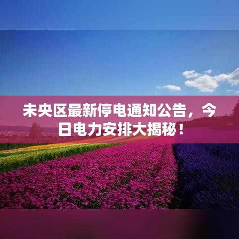 未央?yún)^(qū)最新停電通知公告,今日電力安排大揭秘!