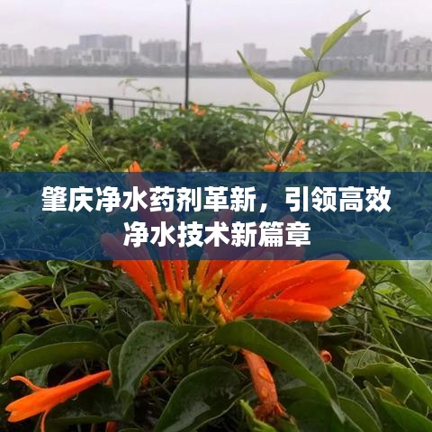 肇慶凈水藥劑革新,引領高效凈水技術新篇章