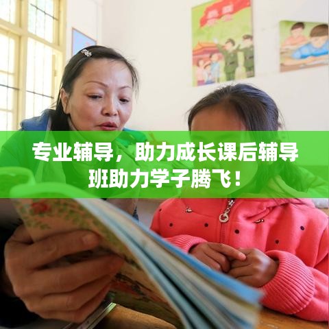 專業輔導,助力成長課后輔導班助力學子騰飛!