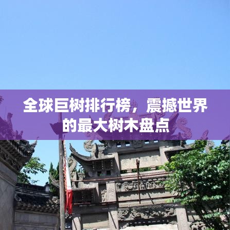 全球巨樹排行榜,震撼世界的最大樹木盤點