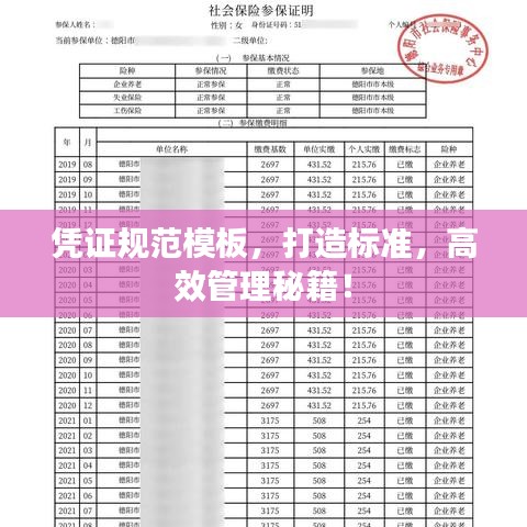 憑證規(guī)范模板,打造標(biāo)準(zhǔn),高效管理秘籍!