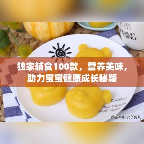 獨家輔食100款，營養美味，助力寶寶健康成長秘籍
