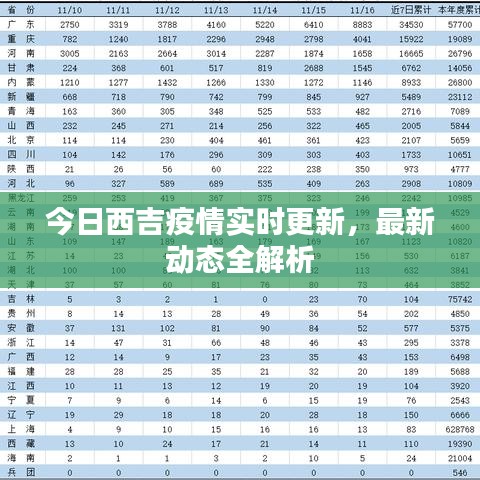 今日西吉疫情實時更新，最新動態全解析