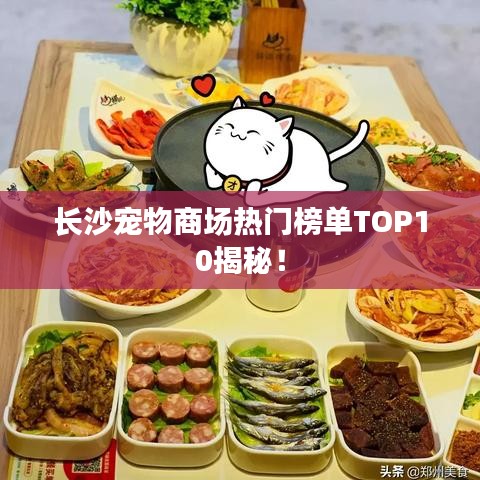 長(zhǎng)沙寵物商場(chǎng)熱門榜單TOP10揭秘!