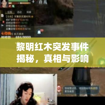 黎明紅木突發事件揭秘,真相與影響探究