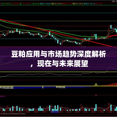 豆粕應用與市場趨勢深度解析,現在與未來展望