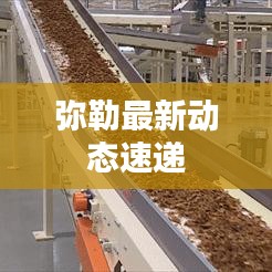 彌勒最新動(dòng)態(tài)速遞
