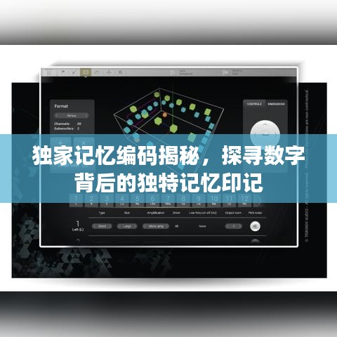 獨(dú)家記憶編碼揭秘,探尋數(shù)字背后的獨(dú)特記憶印記