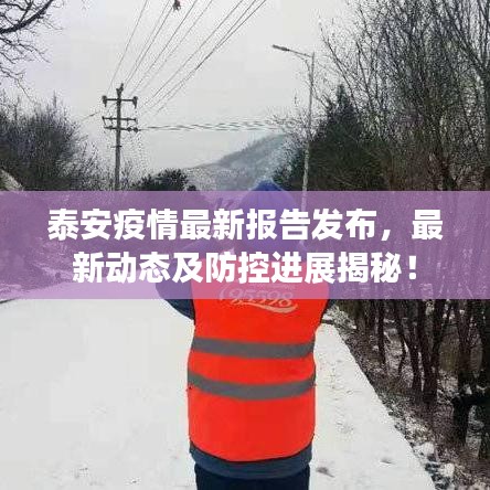泰安疫情最新報告發布,最新動態及防控進展揭秘!