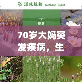 70歲大媽突發疾病,生命的脆弱與社會關愛守護